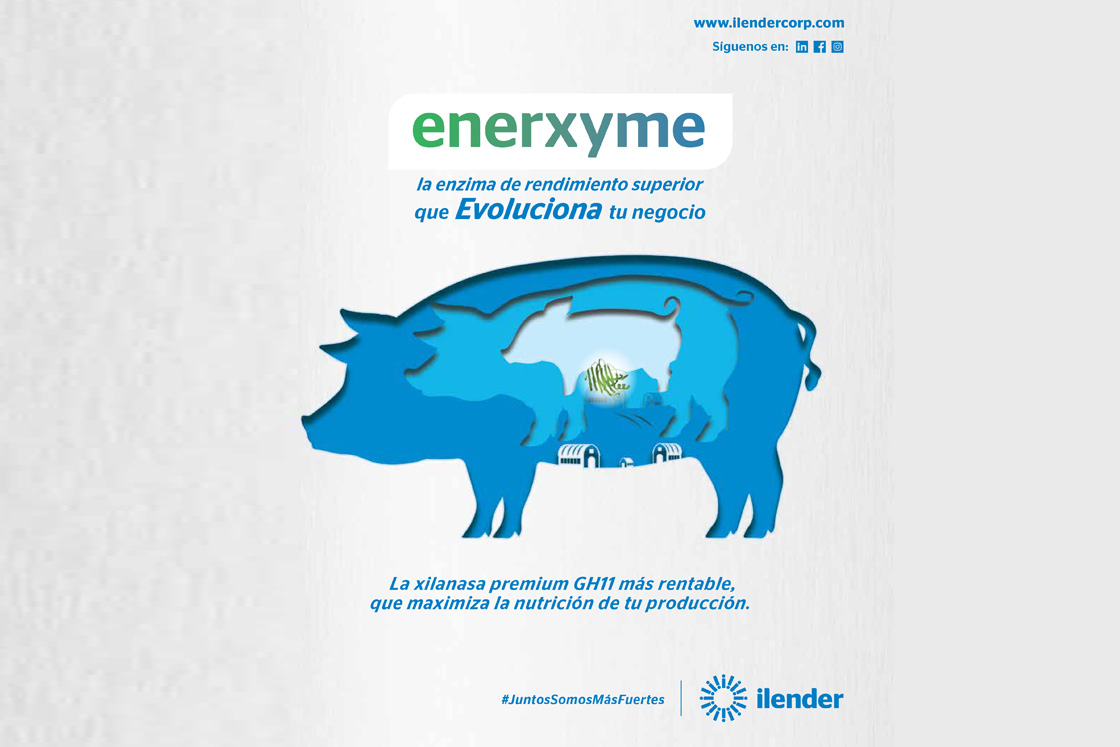 Efecto simbiótico del uso de enzimas y probióticos sobre la salud intestinal y el crecimiento de lechones recién destetados desafiados con Escherichia coli enterotoxigénica F18+