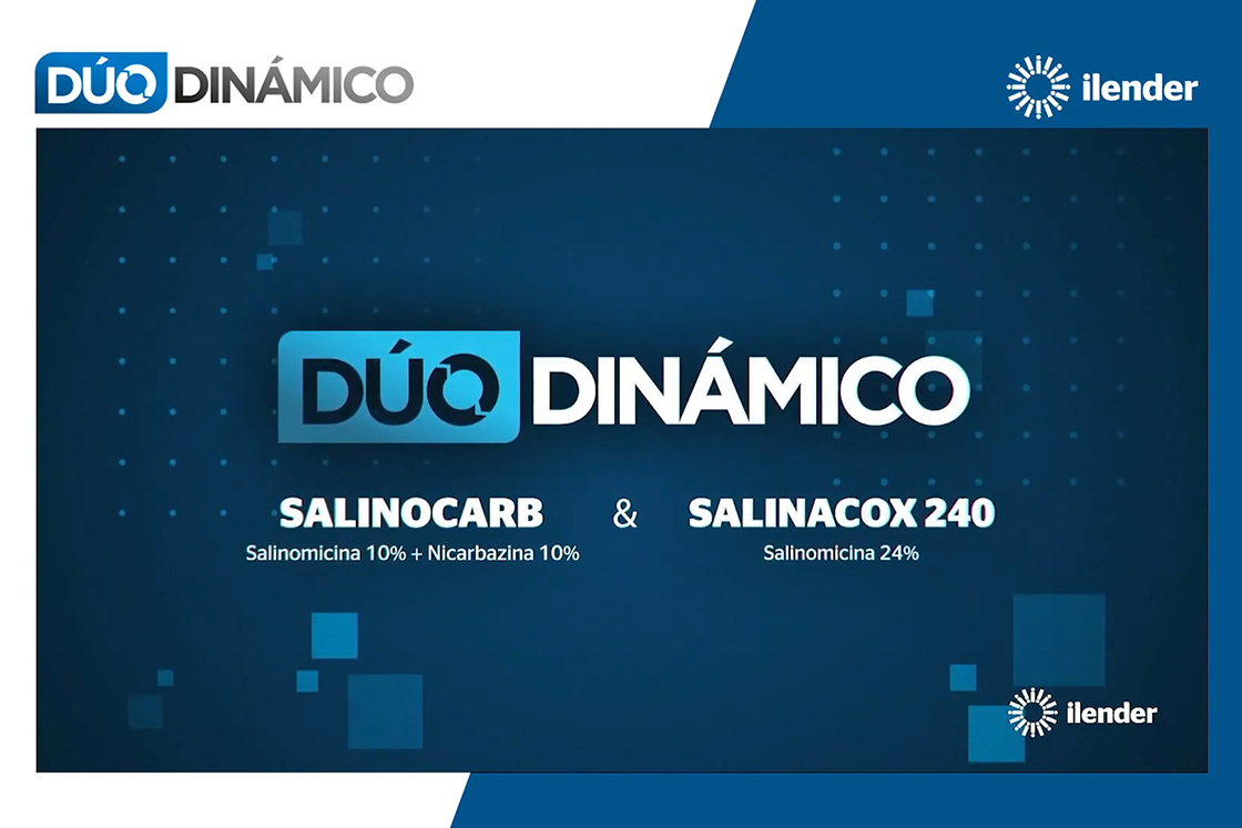 Duo Dinamico: o resultado do que fazemos todos os dias na ilender