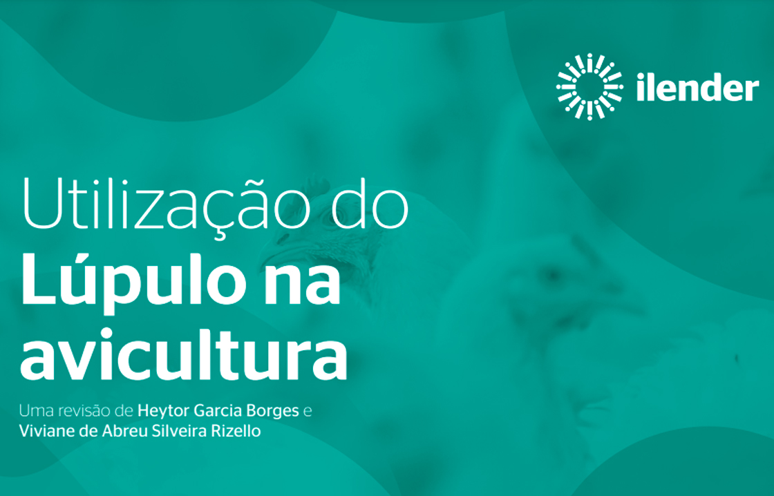 Utilização do Lúpulo na avicultura